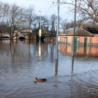 York Flooding Dec 2009 1023 1109